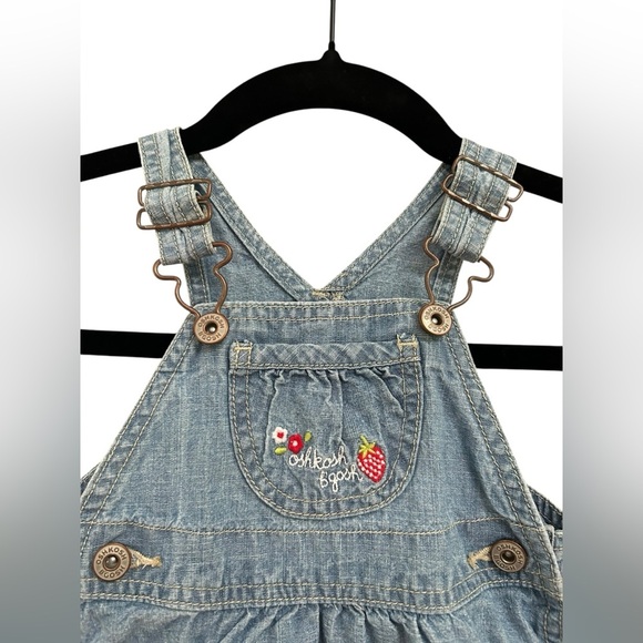 Oshkosh B'gosh Baby Girl Ruffled Dress Floral Blue Denim Size 9 Month - Picture 2 of 6